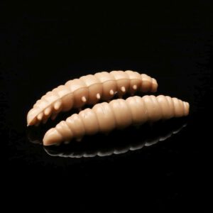 035Larva.jpg