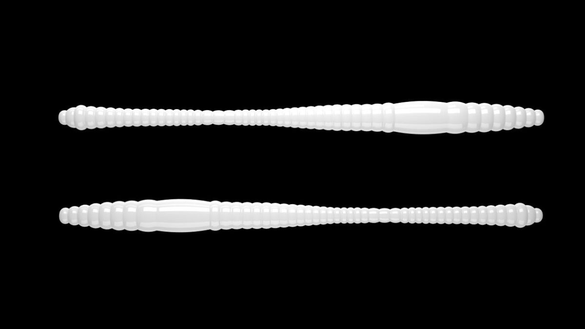 Dying Worm 001 WHITE.jpg