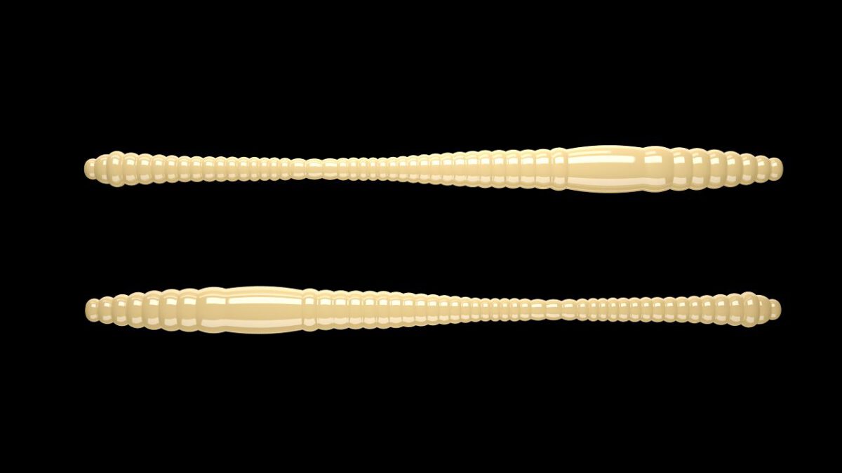 Dying Worm 005 CHEESE.jpg