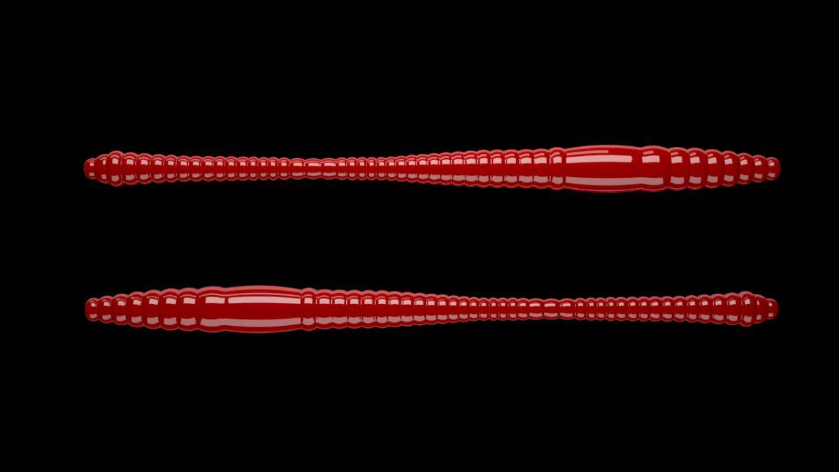 Dying Worm 021 RED.jpg