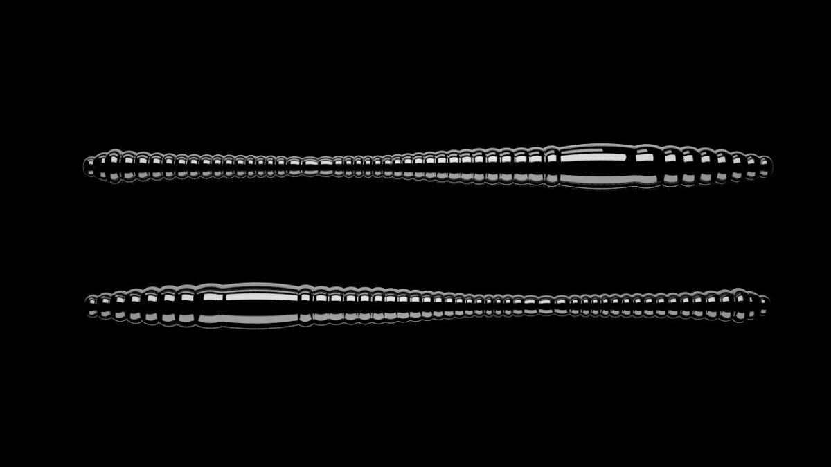 Dying Worm 040 BLACK.jpg