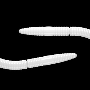 Fatty D'Worm 001 WHITE.jpg