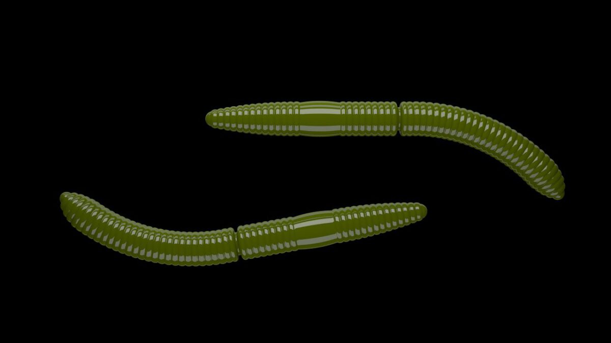 Fatty D'Worm 031 OLIVE.jpg