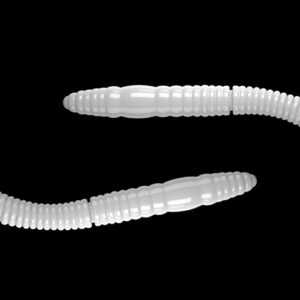 Fatty D'Worm Tournament 55 001 WHITE.jpg