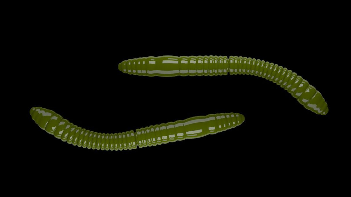 Fatty D'Worm Tournament 55 031 OLIVE.jpg