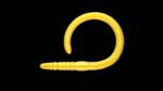 Flex Worm 85 -  007 - Yellow.jpg