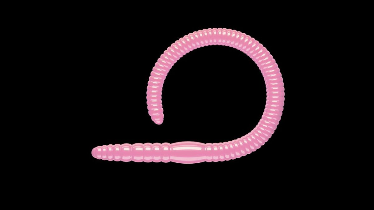 Flex Worm 85 -  017 - Bubblegum.jpg