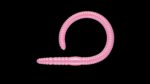 Flex Worm 85 -  017 - Bubblegum.jpg