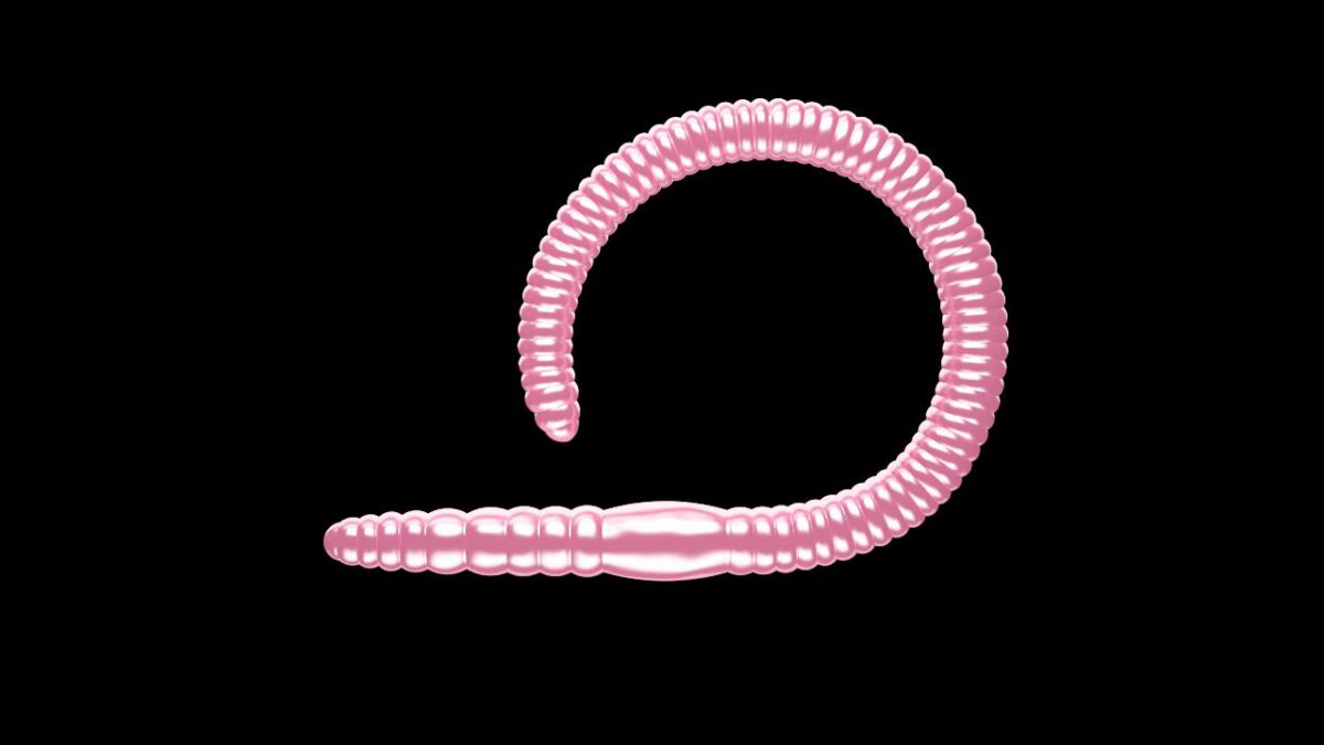 Flex Worm 85 -  018 - Pink Pearl.jpg