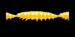Larva MULTI 008 DARK YELLOW_1.jpg