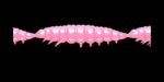 Larva MULTI 017 BUBBLEGUM_1.jpg