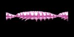 Larva MULTI 018 PINK PEARL_1.jpg