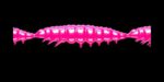 Larva MULTI 019 HOT PINK_1.jpg