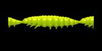 Larva MULTI 027 APPLE GREEN_1.jpg
