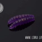 Larva020.jpg