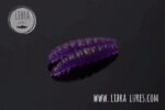 Larva020.jpg