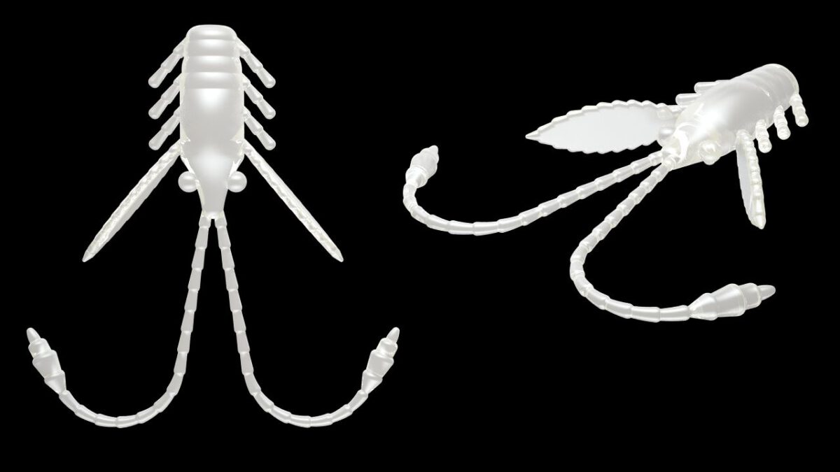 Pro Nymph 004 SILVER PEARL.jpg