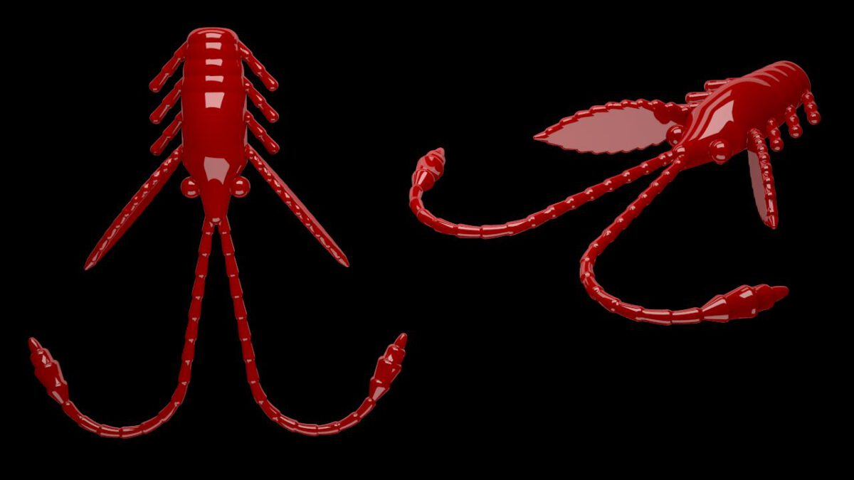 Pro Nymph 021 RED.jpg