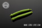 SLIGHT WORM - 031 OLIVE.jpg