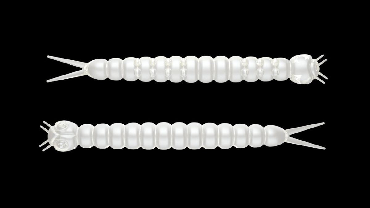 Slight Worm 004 SILVER PEARL.jpg