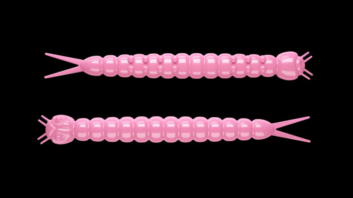 Slight Worm 017 BUBBLEGUM.jpg