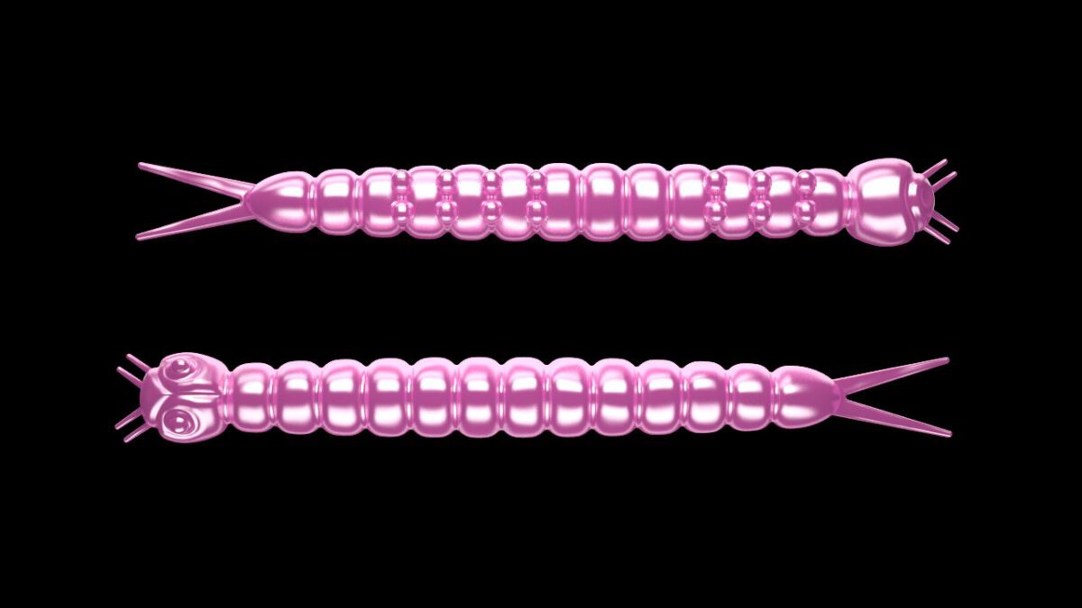 Slight Worm 018 PINK PEARL.jpg
