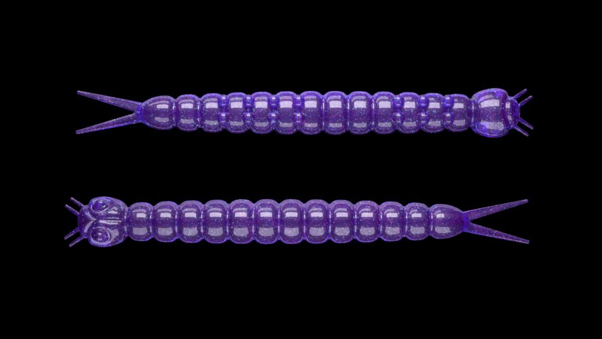 Slight Worm 020 PURPLE WITH GLITTER.jpg