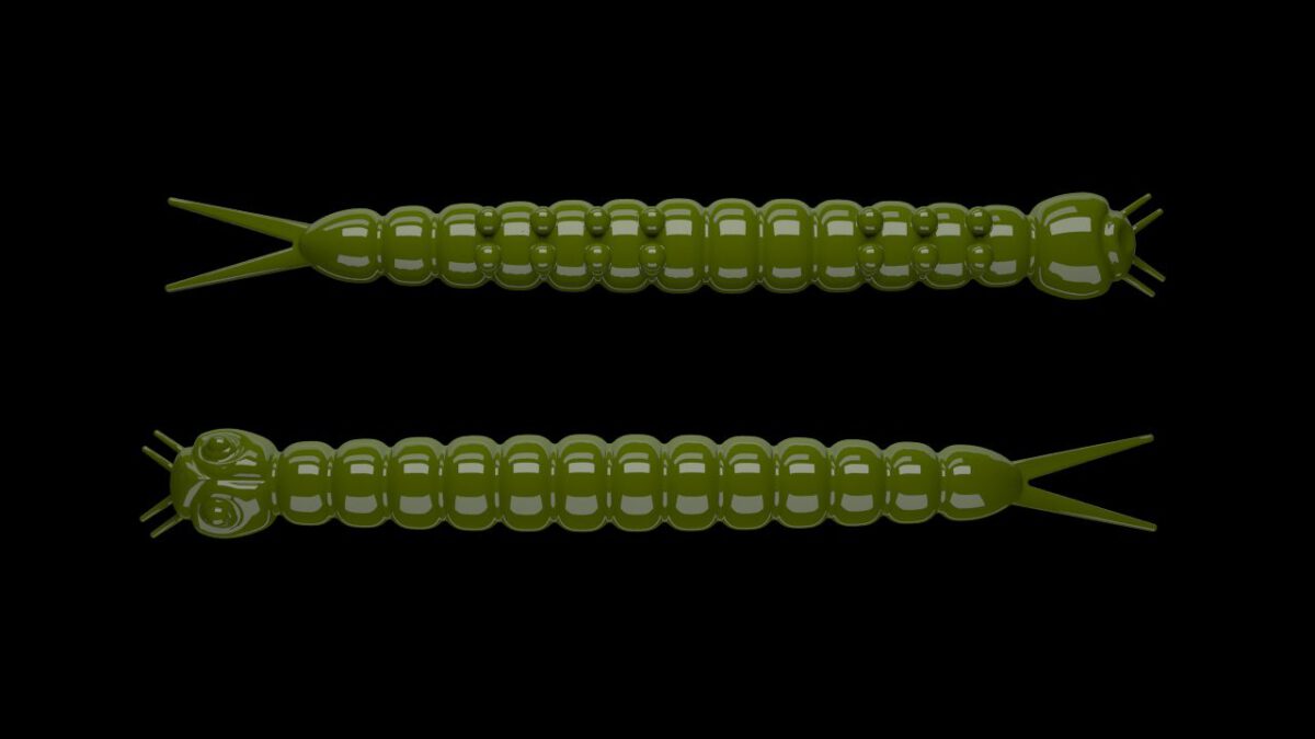 Slight Worm 031 OLIVE.jpg
