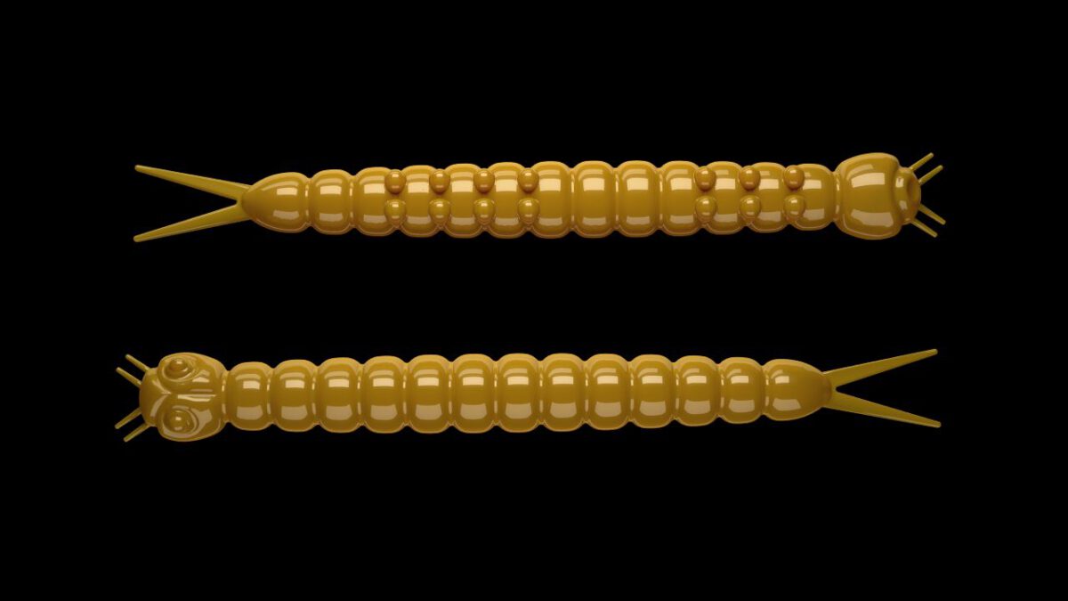 Slight Worm 036 COFFEE MILK.jpg