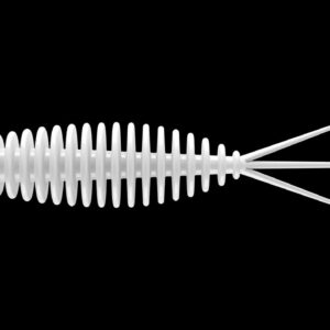 Turbo Worm 56 - 001 - WHITE.jpg