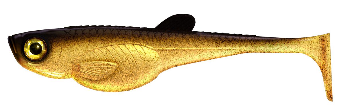 Libra Lures - Embrion Shad - 009 Gold.jpg