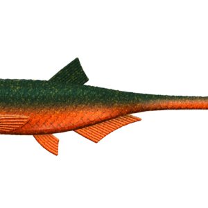 Libra Lures - Bleak - Slug Tail - 111 Angry Carrot.jpg