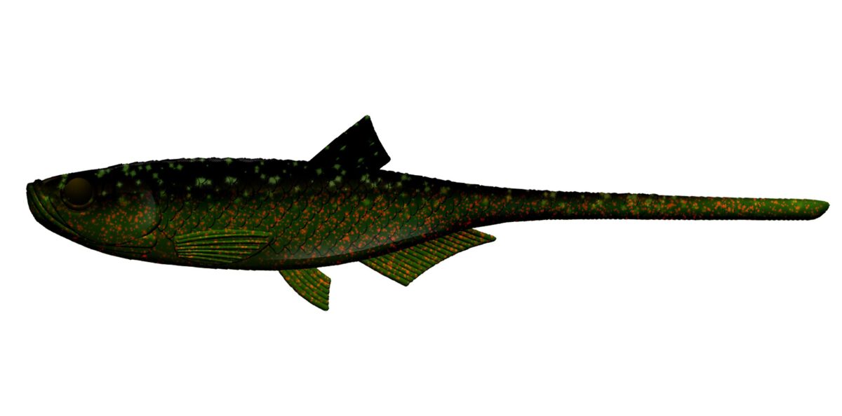 Libra Lures - Bleak - Slug Tail - 132 Motor Oil Green.jpg