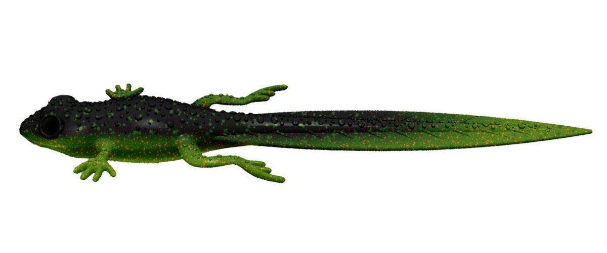 Libra Lures - Frog - 132 Motor Oil Green (2).jpg