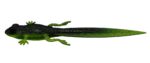 Libra Lures - Frog - 132 Motor Oil Green (2).jpg