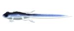 Libra Lures - Frog - 003 Blue Whitefish.jpg