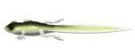 Libra Lures - Frog - 031 Olive Whitefish.jpg