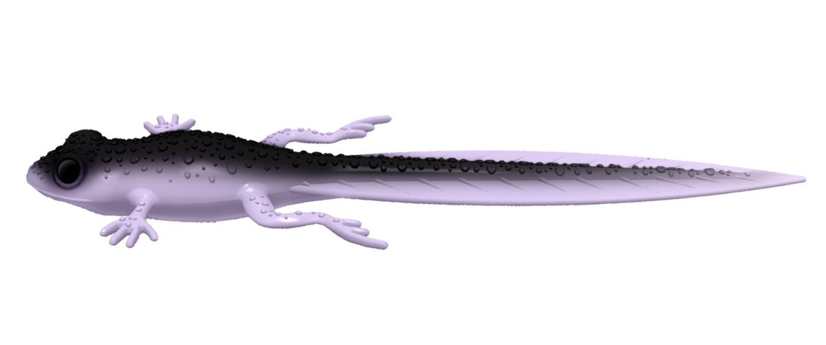 Libra Lures - Frog - 120 Violet Shine.jpg