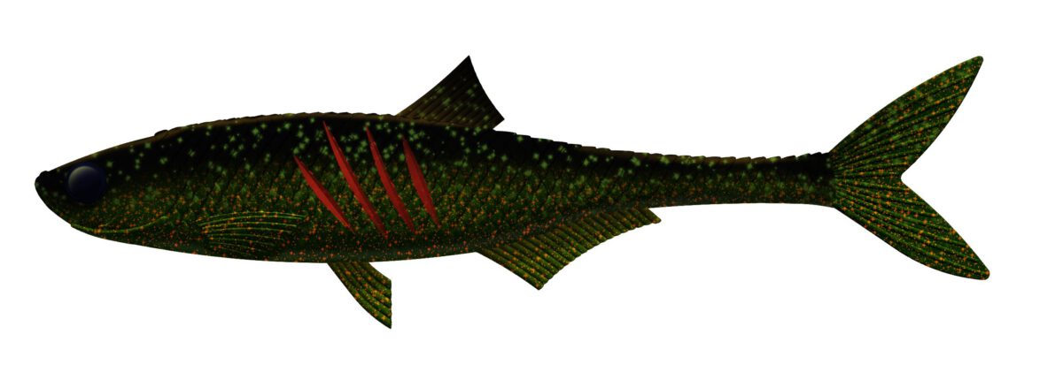 Libra Lures - Dead Fish - 132 Motor Oil Green.jpg