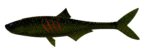 Libra Lures - Dead Fish - 132 Motor Oil Green.jpg