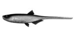 Libra Lures - Bleak - Slug Tail - 002 Ghost.jpg