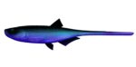 Libra Lures - Bleak - Slug Tail - 123 Cosmos.jpg