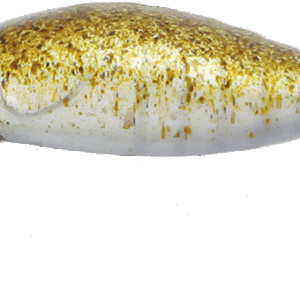 324024024-01.png