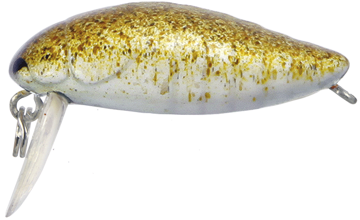 324024024-01-png 324024024-01.png