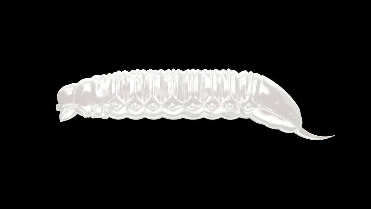 Goliath - 004 Silver Pearl.jpg
