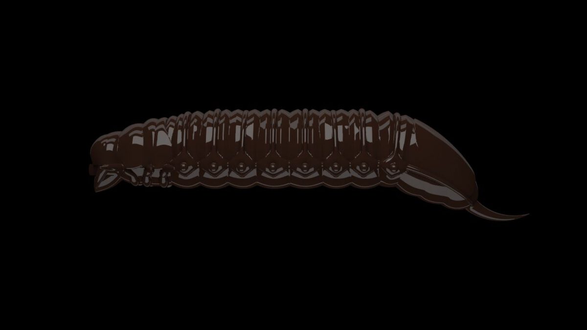 Goliath - 038 Brown.jpg