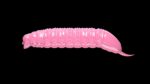 Goliath - 017 Bubblegum.jpg