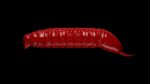 Goliath - 021 Red.jpg