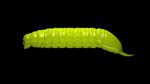 Goliath - 027 Apple Green.jpg
