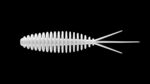 Turbo Worm 56 - 001 - WHITE.jpg